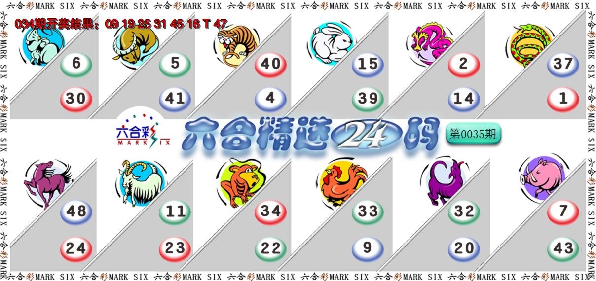 2025035期六合精选24码