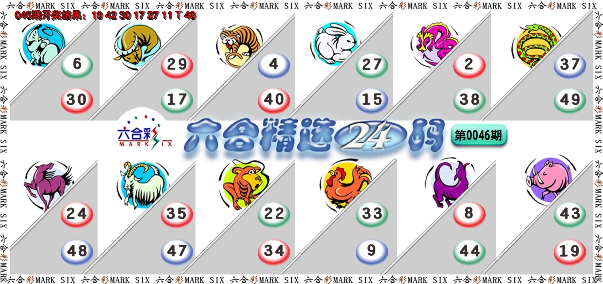 2025046期六合精选24码