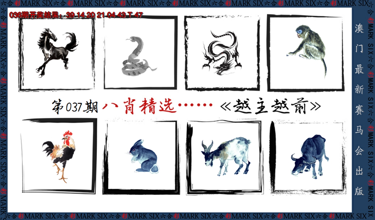 2025037期八肖精选