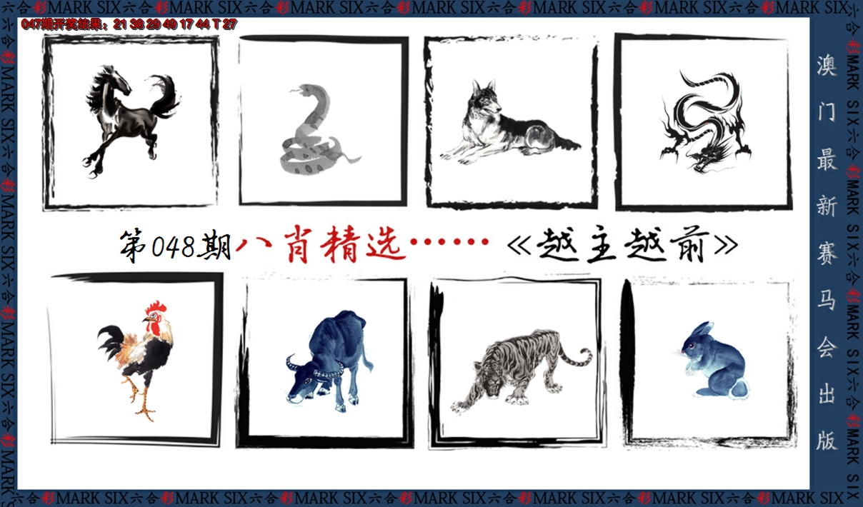 2025048期八肖精选
