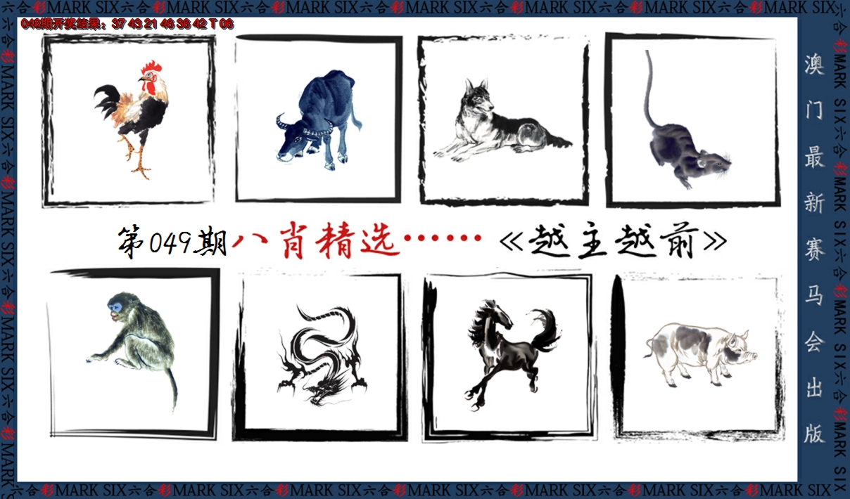 2025049期八肖精选
