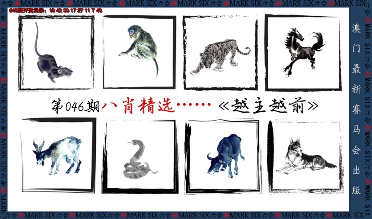 2025046期八肖精选