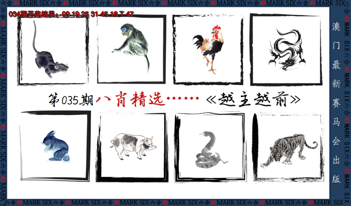 2025035期八肖精选