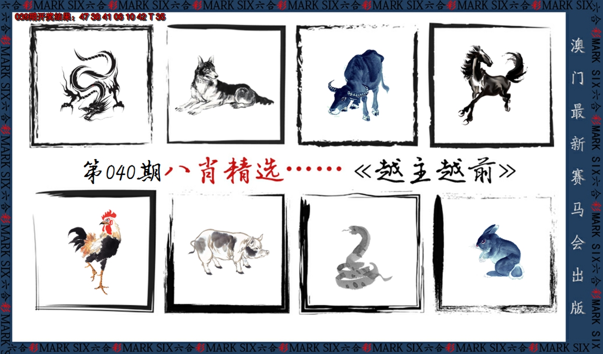 2025040期八肖精选