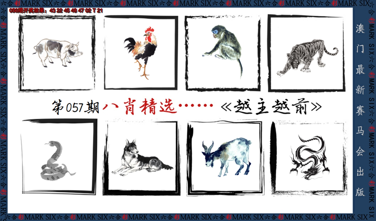 2025057期八肖精选