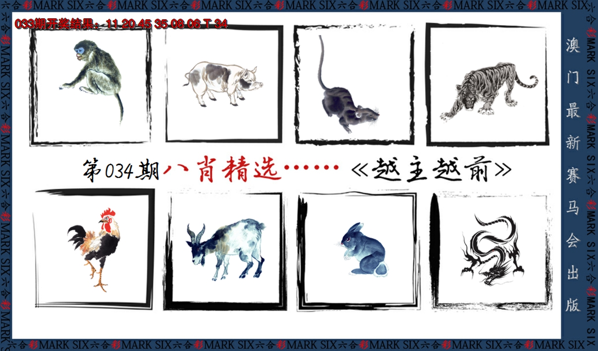2025034期八肖精选