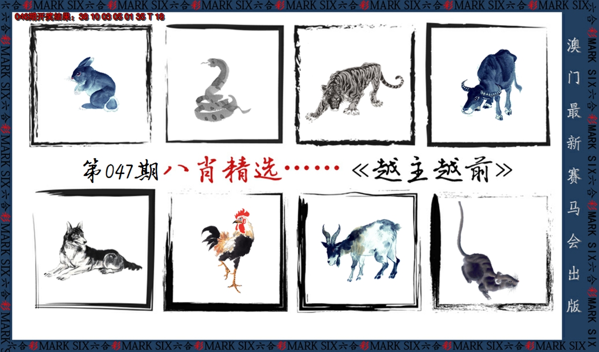 2025047期八肖精选