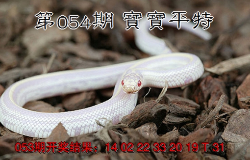 2025054期宝宝平特