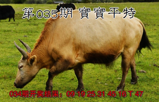 2025035期宝宝平特