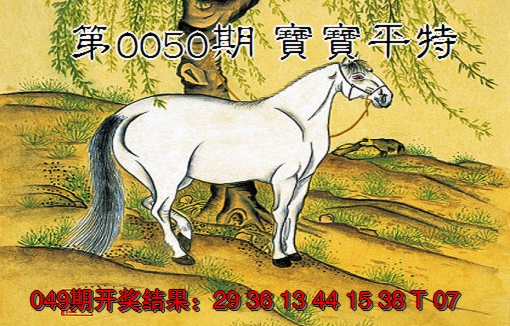 2025050期宝宝平特