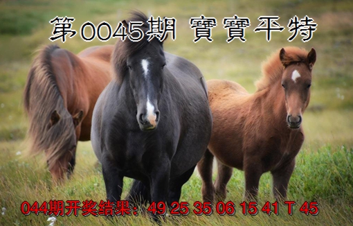 2025045期宝宝平特
