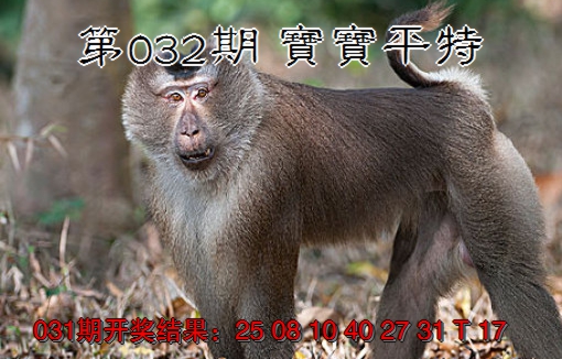 2025032期宝宝平特