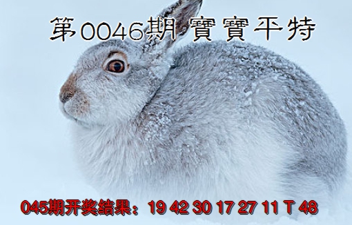 2025046期宝宝平特