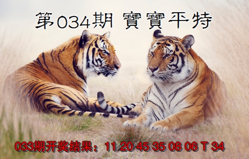 2025034期宝宝平特