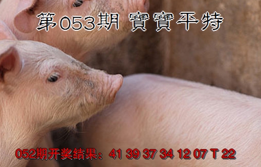 2025053期宝宝平特