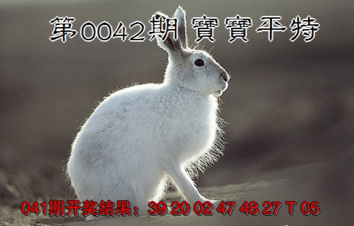2025042期宝宝平特