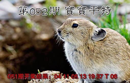 2025052期宝宝平特