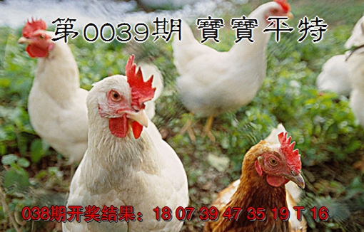 2025039期宝宝平特