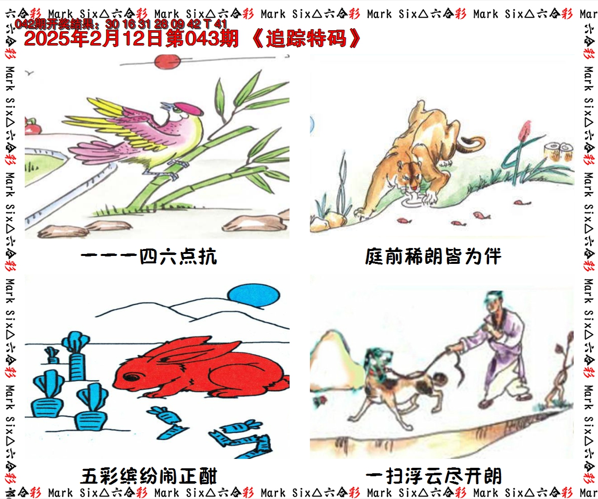 2025043期追踪特码
