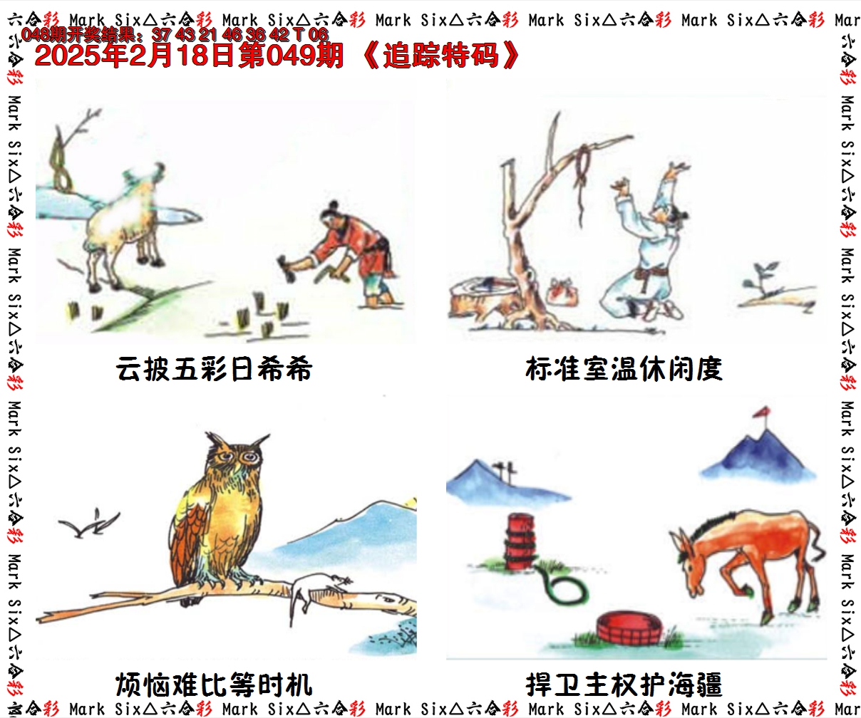 2025049期追踪特码