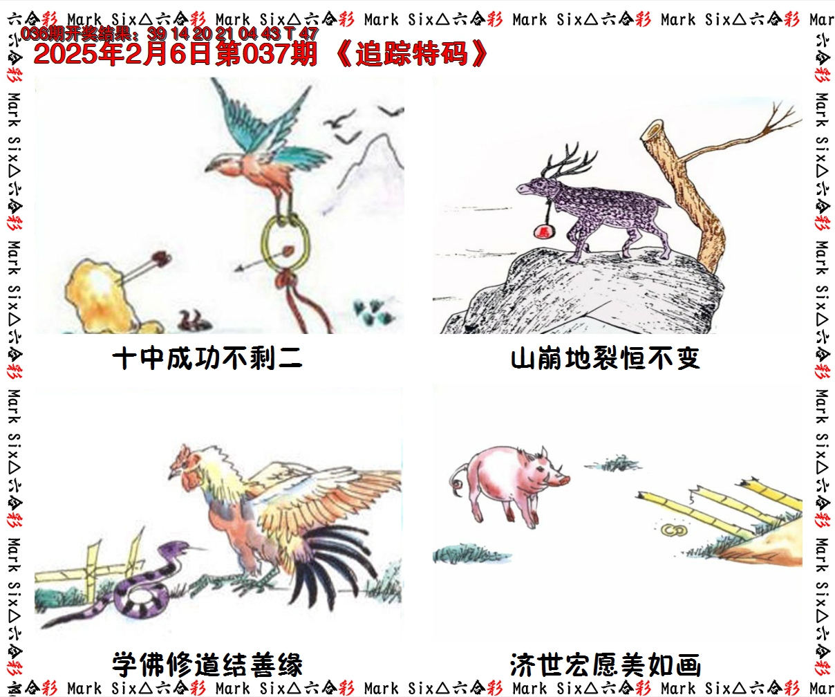 2025037期追踪特码