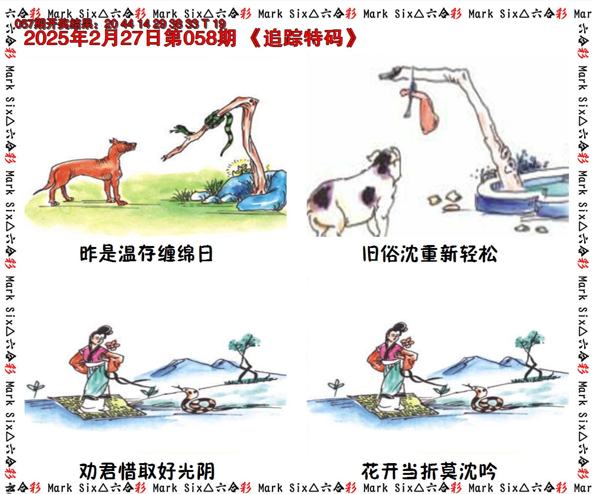 2025058期追踪特码