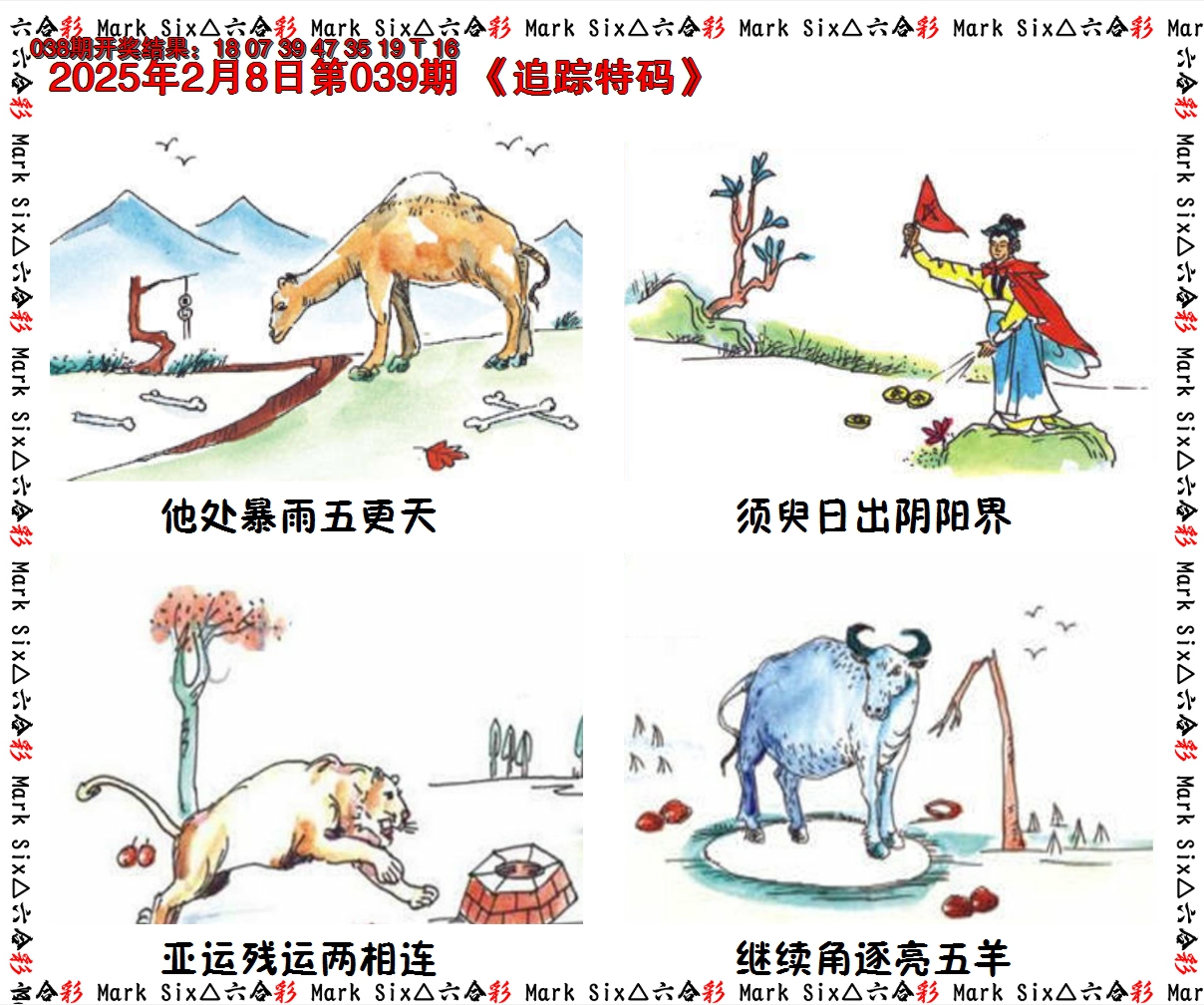 2025039期追踪特码