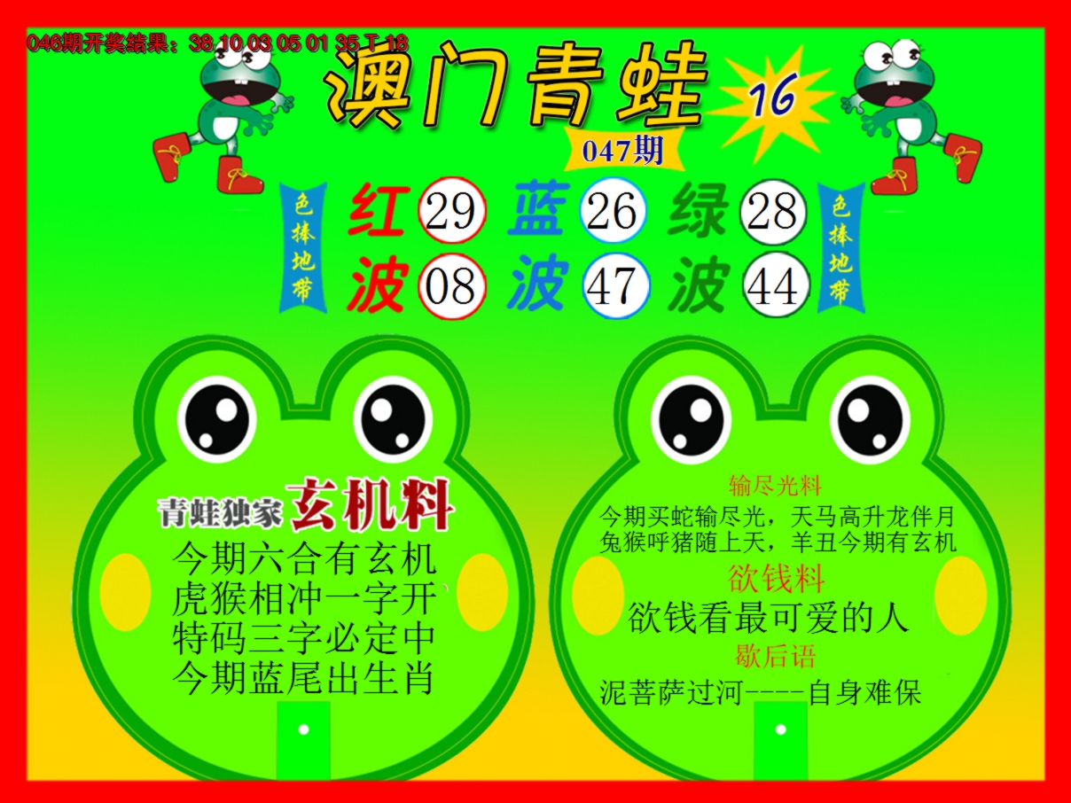2025047期青蛙系列16