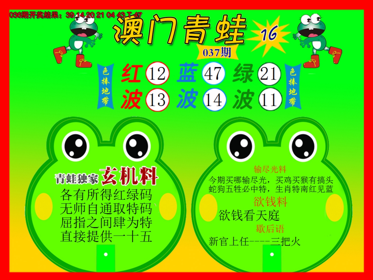 2025037期青蛙系列16