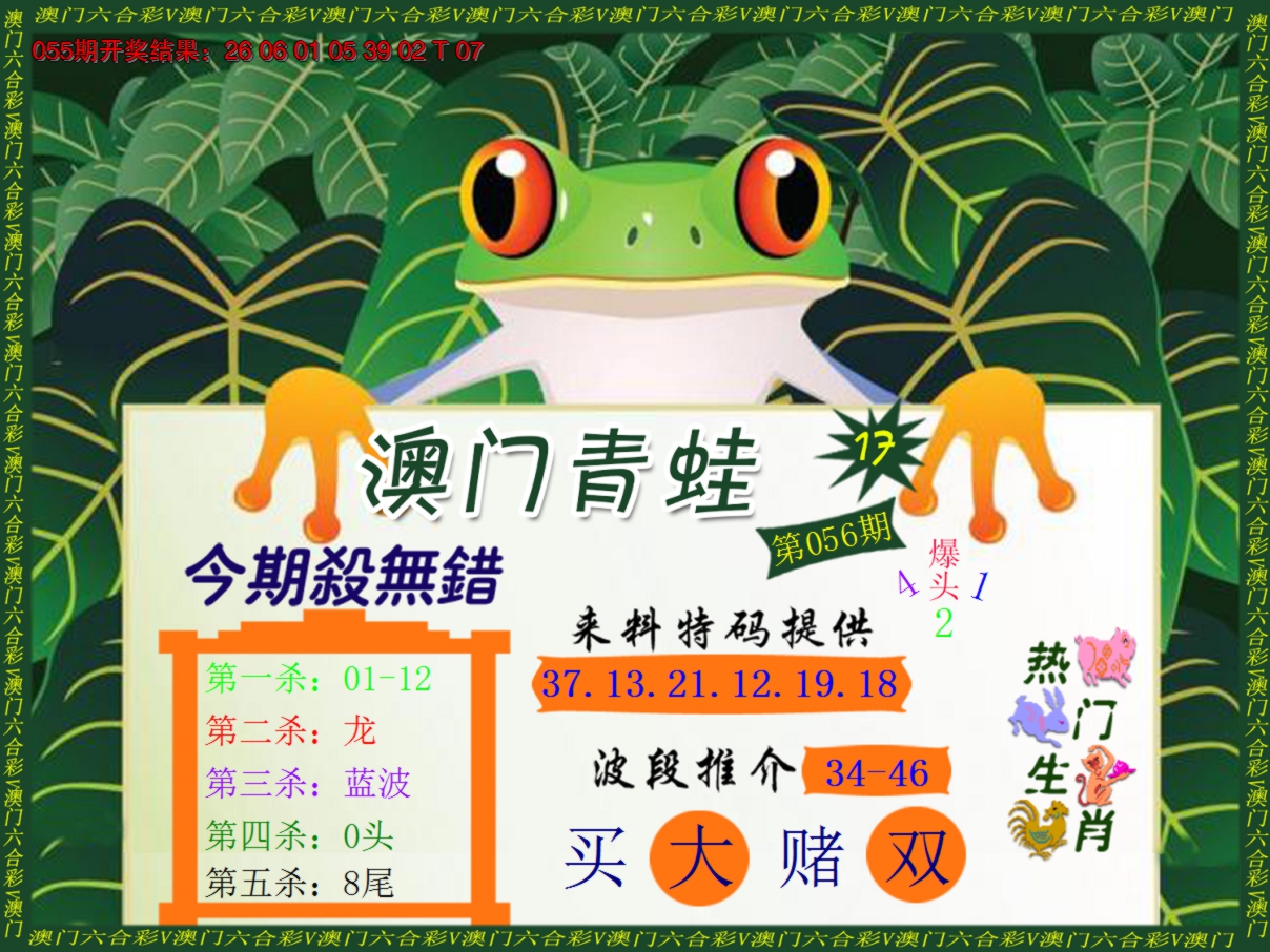 2025056期青蛙系列17