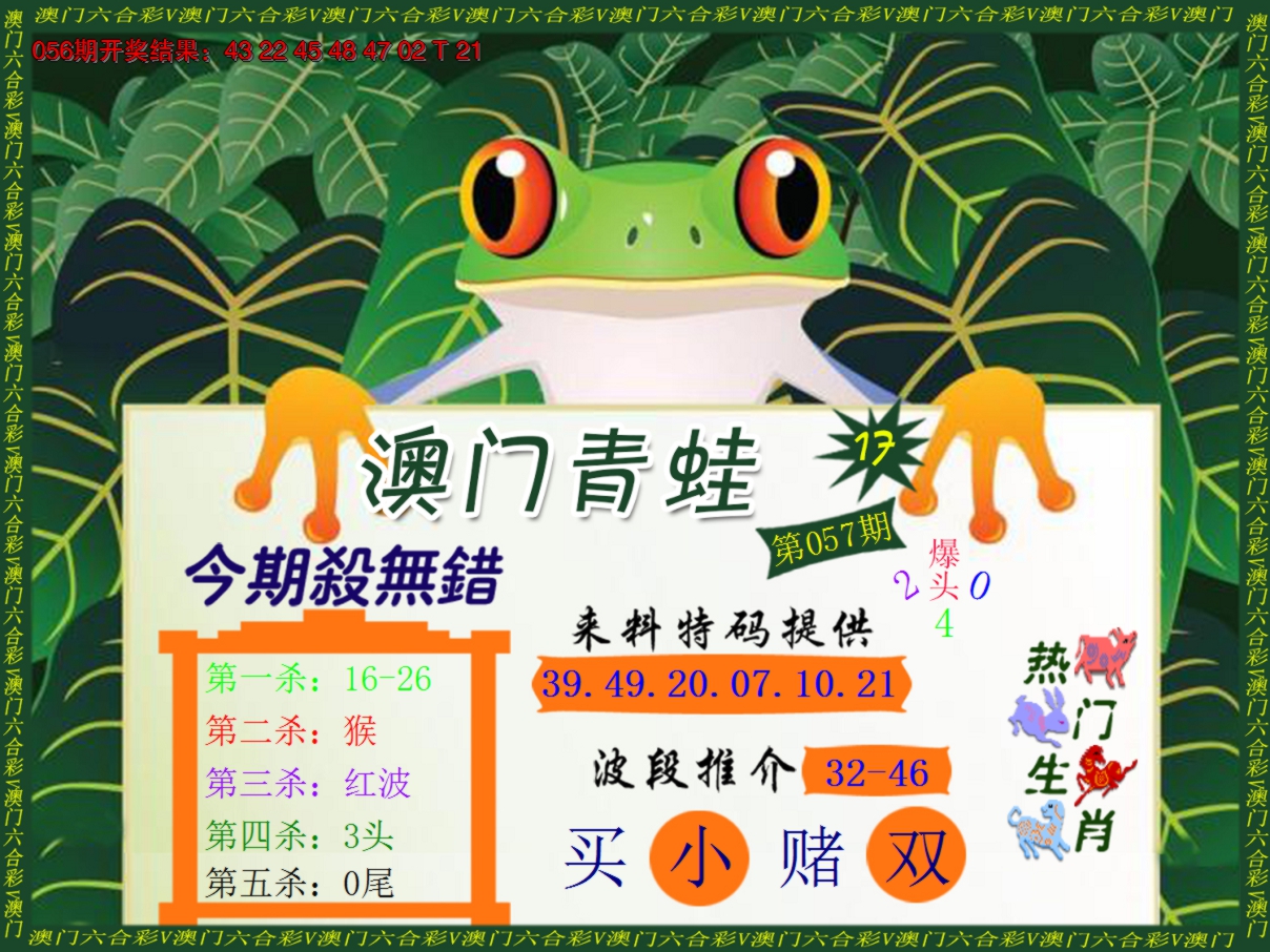2025057期青蛙系列17