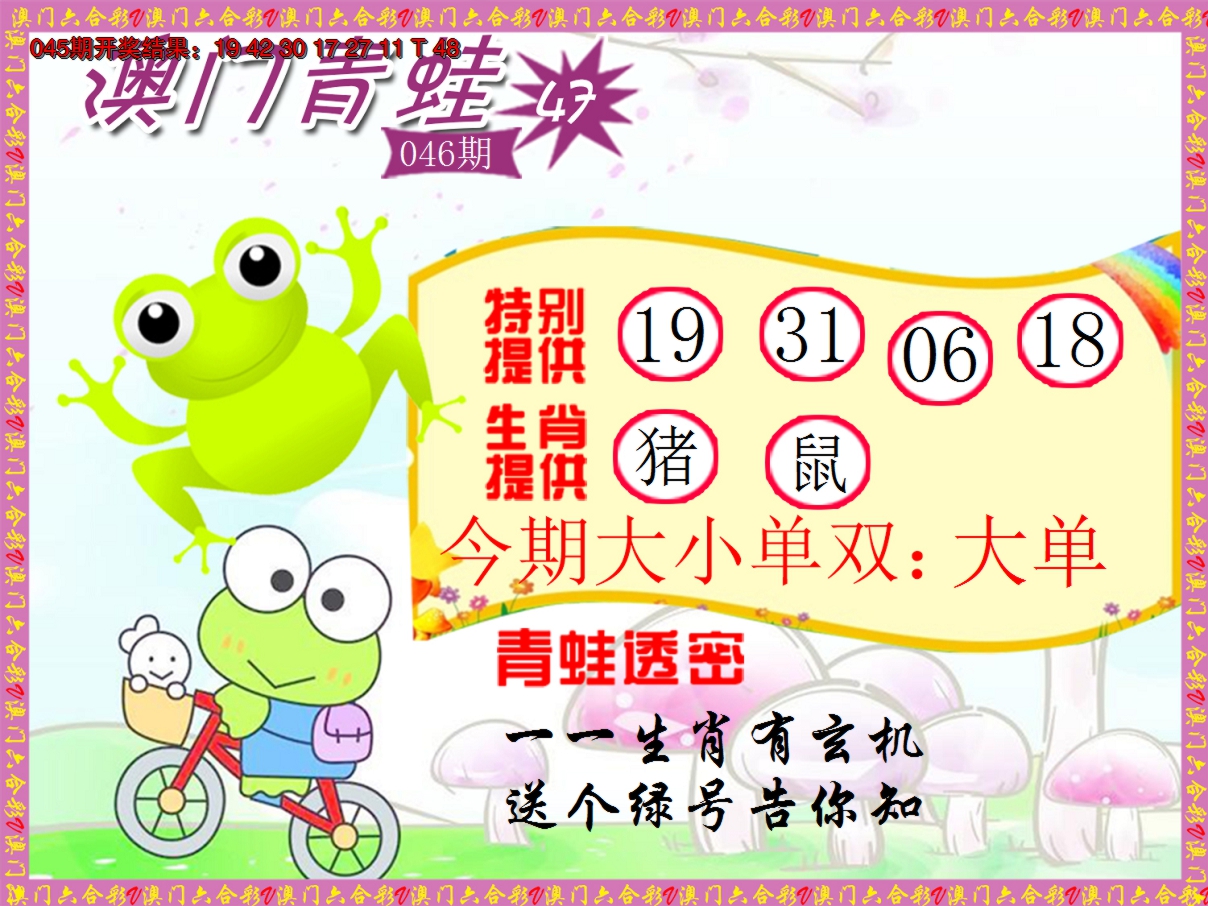 2025046期青蛙系列47
