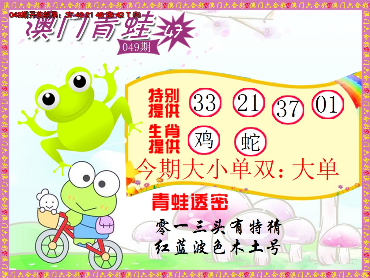 2025049期青蛙系列47
