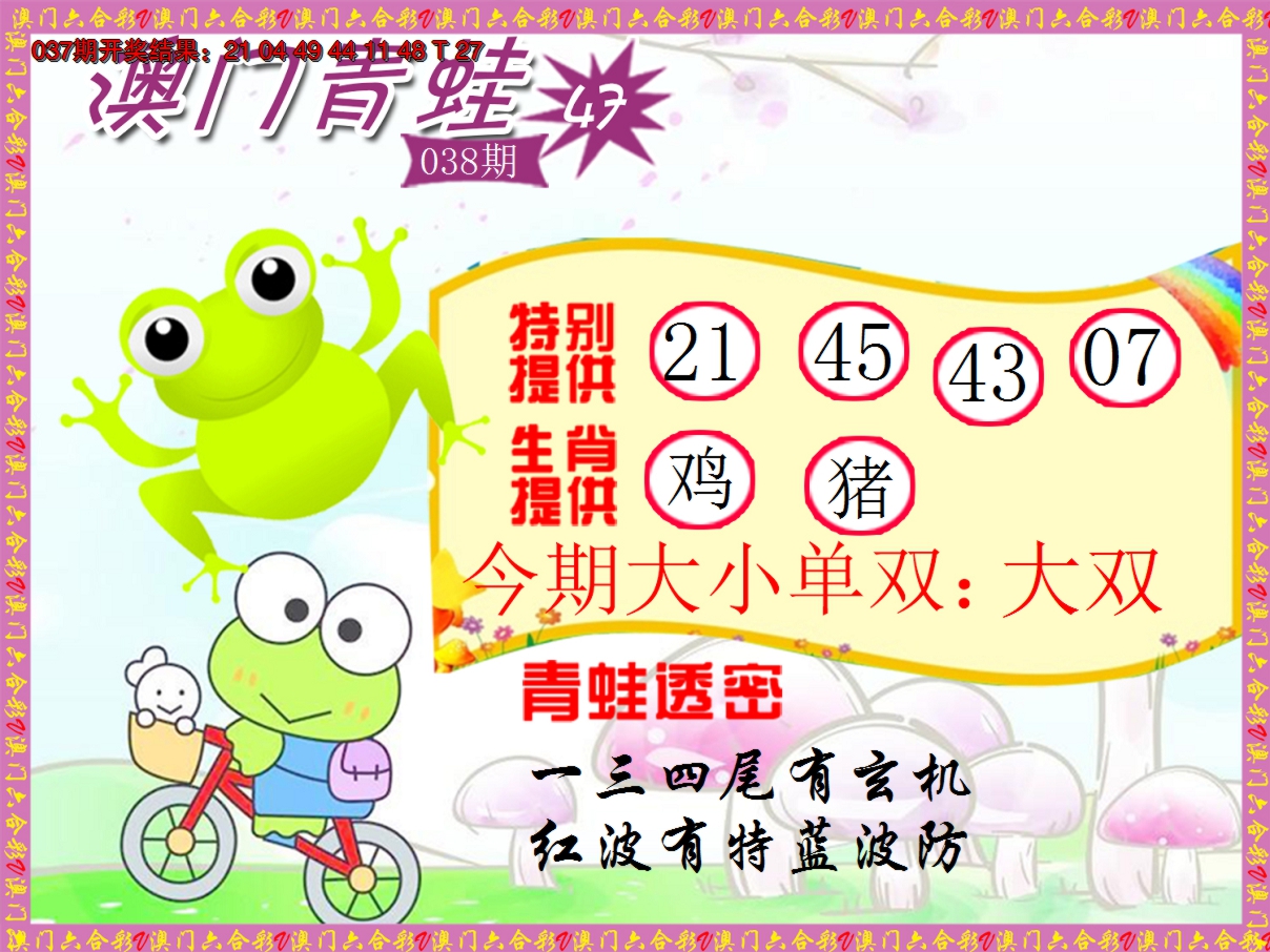 2025038期青蛙系列47