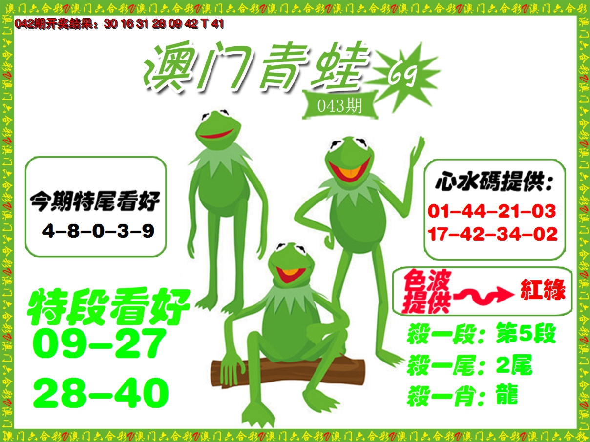 2025043期青蛙系列69