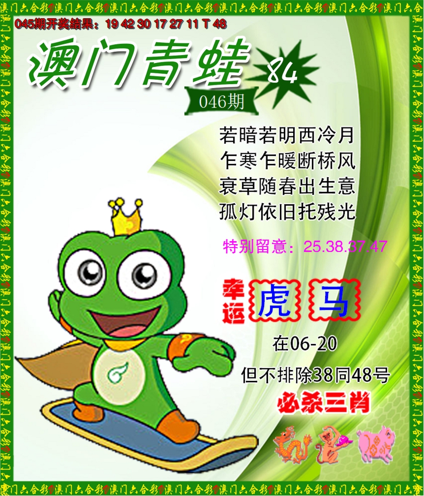 2025046期青蛙系列84
