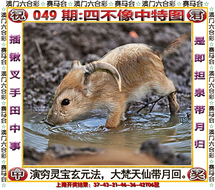 2025049期四不像中特图