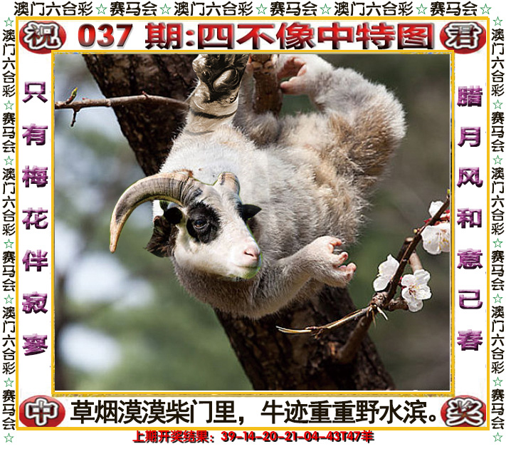 2025037期四不像中特图