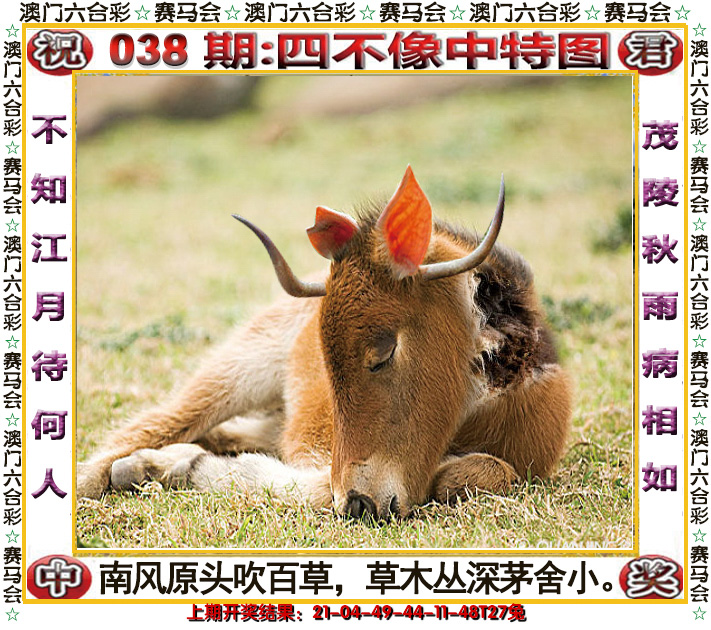 2025038期四不像中特图