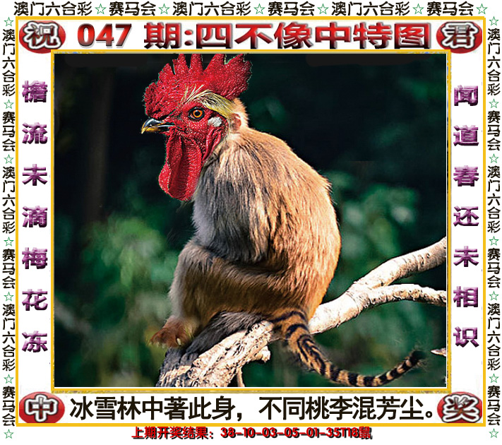 2025047期四不像中特图