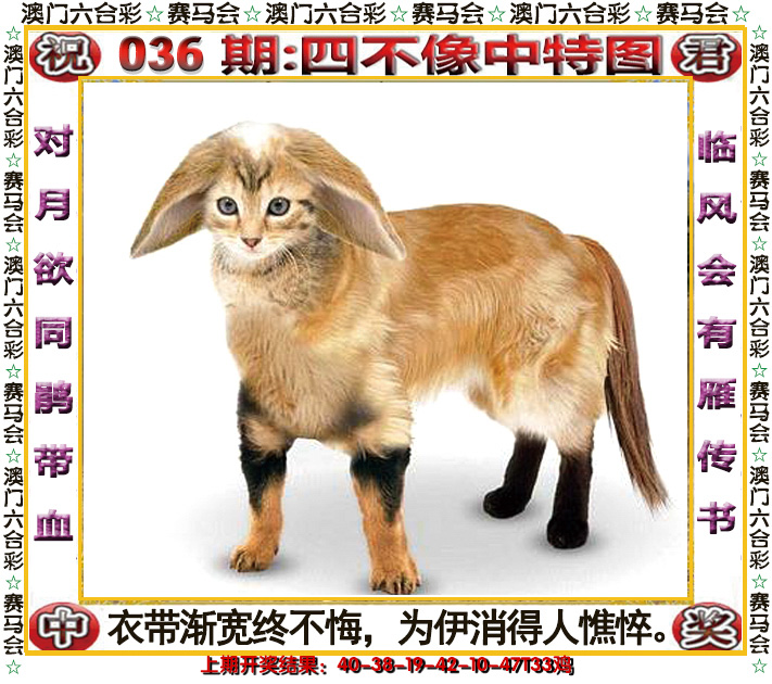 2025036期四不像中特图