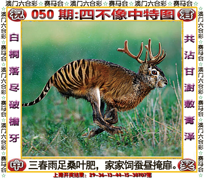 2025050期四不像中特图