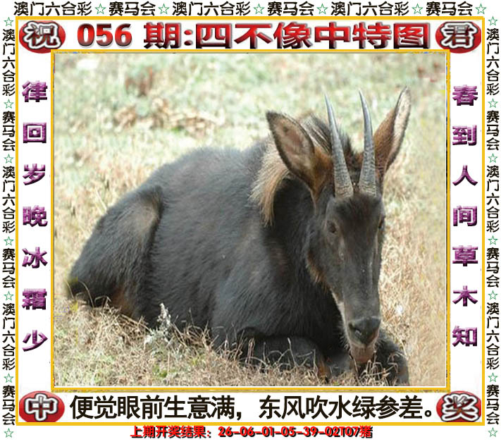 2025056期四不像中特图