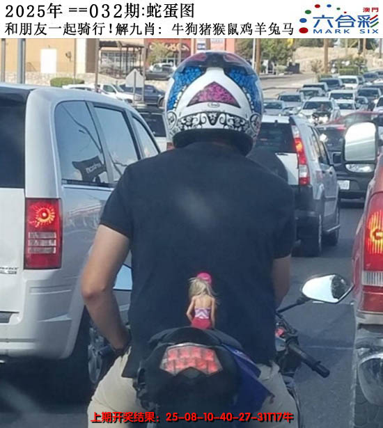 2025032期正版蛇蛋图