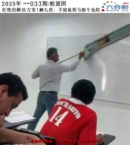 2025033期正版蛇蛋图