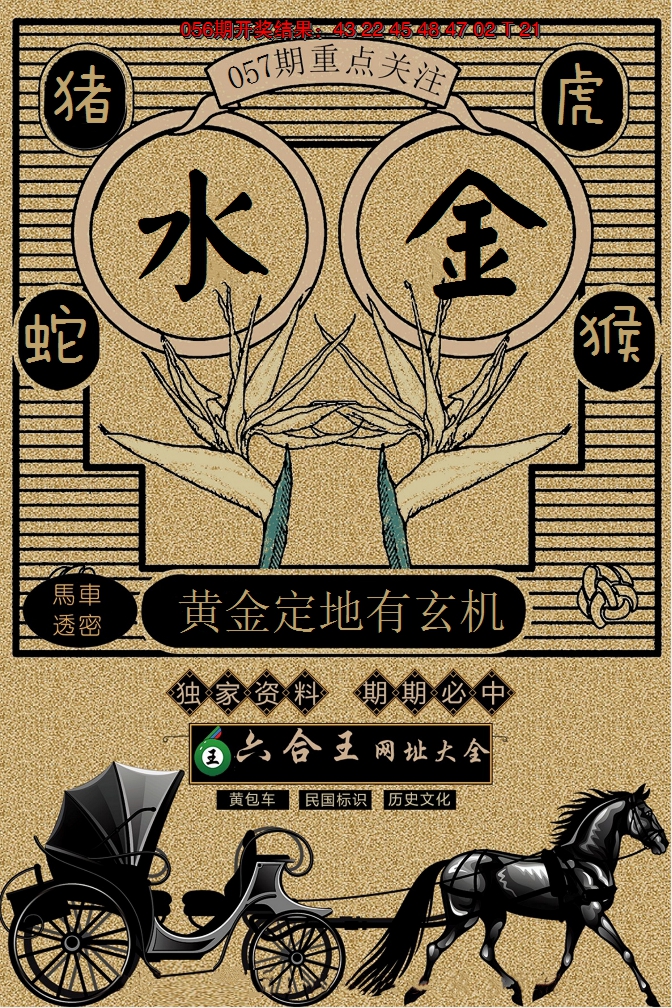 2025057期六合王马车透密