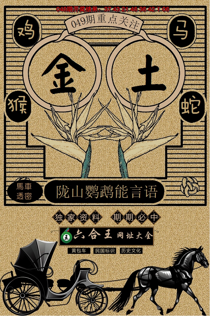 2025049期六合王马车透密