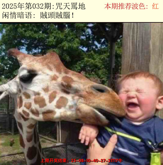 2025032期今日闲情2