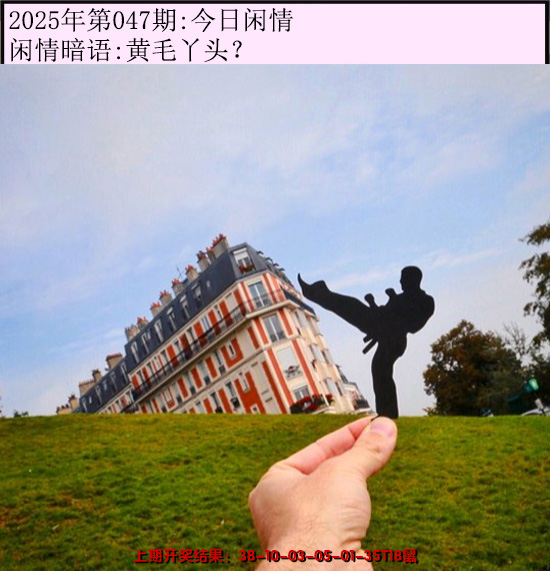 2025047期今日闲情
