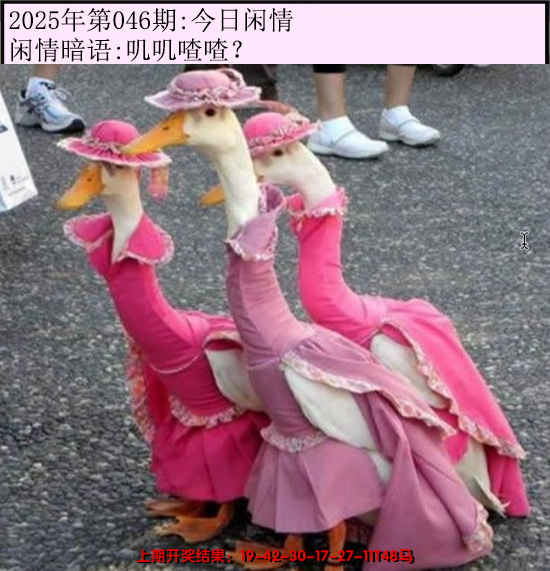 2025046期今日闲情